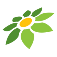 LINK BOKEH 2025